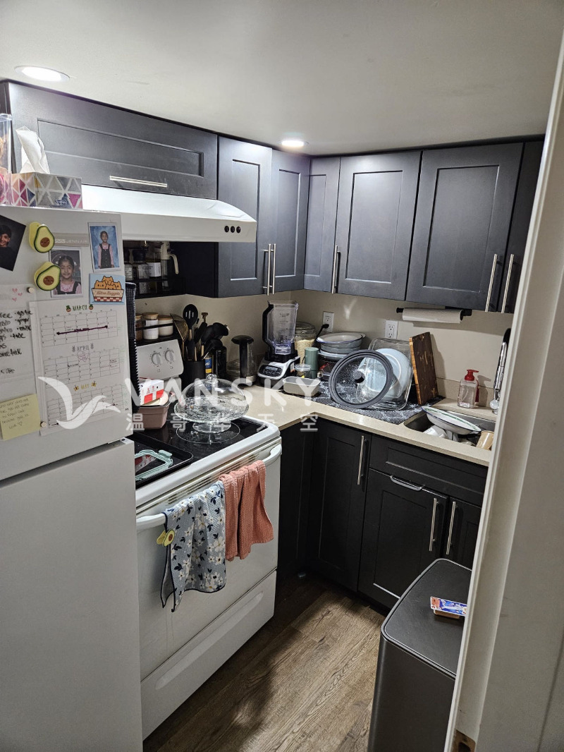 260326004455_1 3.jpg